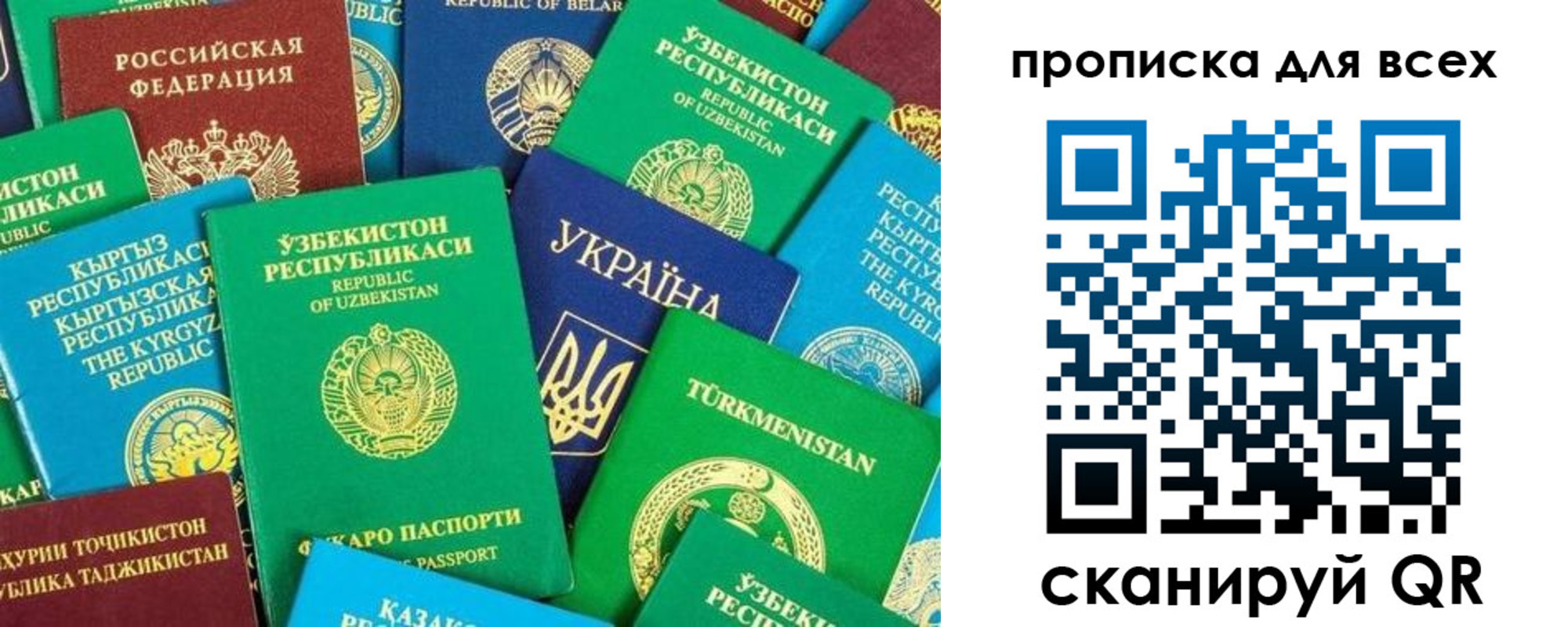 прописка в квартире в Ртищево